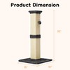 Keygarzone Indoor Cat Scratching Post: 32 in Tall Cat Scratcher