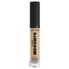 wet n wild Mega Last Incognito All-Day Full Coverage Liquid