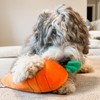 Midlee Hide a Toy Carrot Easter Dog Toy