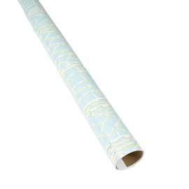 Caspari Bamboo Screen in Robin's Egg Gift Wrap - 2 Continuous Roll of Wrapping Paper