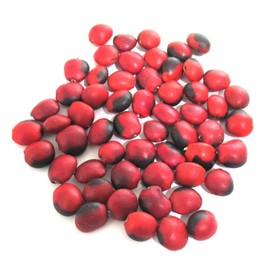 HUAYRURO BIG 3.5 oz (100 g) [Beads & Holes] South America Peruvian Amulet Huilouro Fruit (Large) Approx. 3.5 oz (100 g) Male (Black Dots)