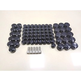 Unbranded CNC Engine Bolt Topper Caps Cover Kit 75pcs For Harley Touring Road Street Glide