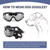 Billionchains Pack of 2 Dog Goggles Dog Sunglasses for Medium