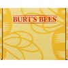 Burts Bees Valentines Day Gifts, Rescue Lip Relief with Shea