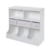 Freestanding Combo Shelf Cubby Bin Storage Organizer Unit with 3
