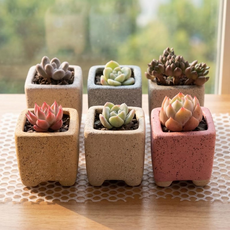 Yuvori 12-Pack 1.6" Modern Square Succulent Pots with Large Drainage