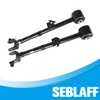 SEBLAFF 2-Pack Adjustable Rear Alignment Camber Arm Kit Replacement for