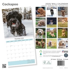 Baker and Bray Cockapoo Calendar 2025, Large Square Wall Calendar with Organisational Stickers, 16 Month, Cockapoo Gift Dog Calendar.