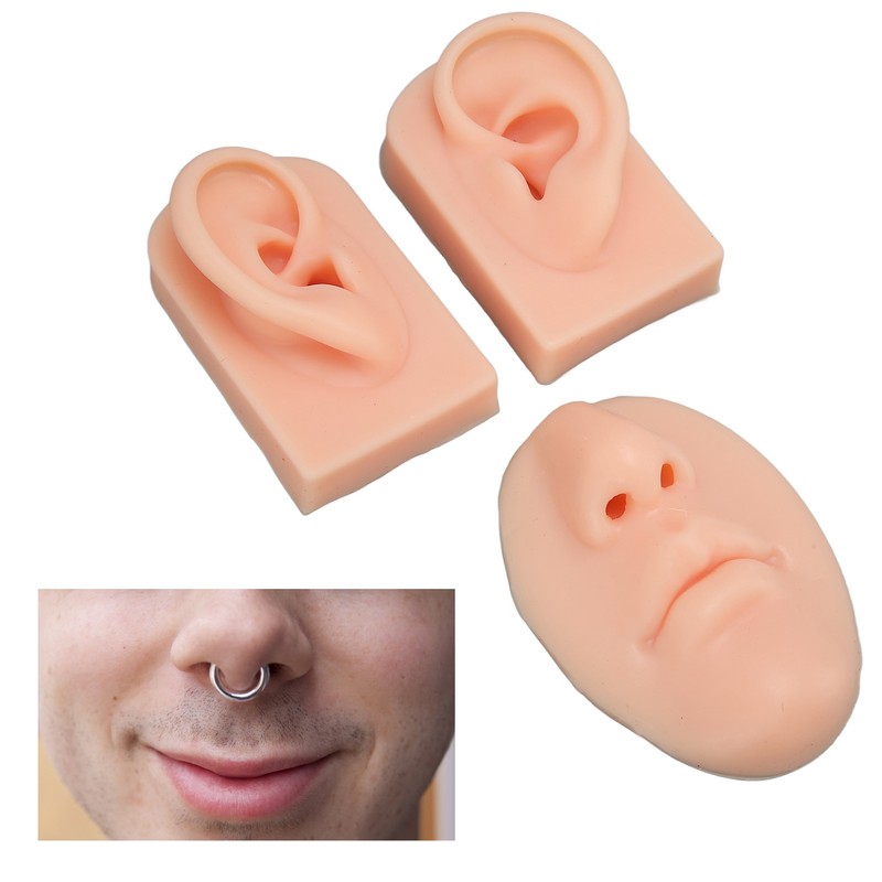 3D Nose and Mouth Model Silicone Ear Model Simulation Display