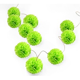 Pack of 10 Tissue Paper Pom pom Flower Ball Pompom Party Decoration Indoor Outdoor (Spring Green, 6" (15 cm))