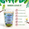 Parrot Food - Parakeet Food - Cockatiel Food - Bird