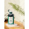The Body Shop Tea Tree Purifying & Balancing Shampoo for