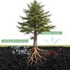 Afcabakila 6 Pack 32.3 Inch Non-Woven Tree Mulch Ring,Plant Barrier