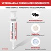 Heartwen Activated Charcoal for Dogs & Cats (60 mL) |