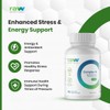 Raw Nutritional Vitamin B Complex | Advanced Formula B Complex