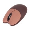 Cute Mouse, 2.4G Silent Mice for Girls Mouse with USB