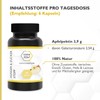 CODE VITAL Hunger & Sugar Stop I Prebiotic Fibre for