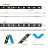 BTF-LIGHTING WS2805 IC RGBCCT Addressable Dual Data LED Strip 5050SMD