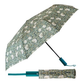 PracticDomus Folding and Compact Umbrella for Women, Design Art Collection with Auto Open and Close, Windproof, pimpernel