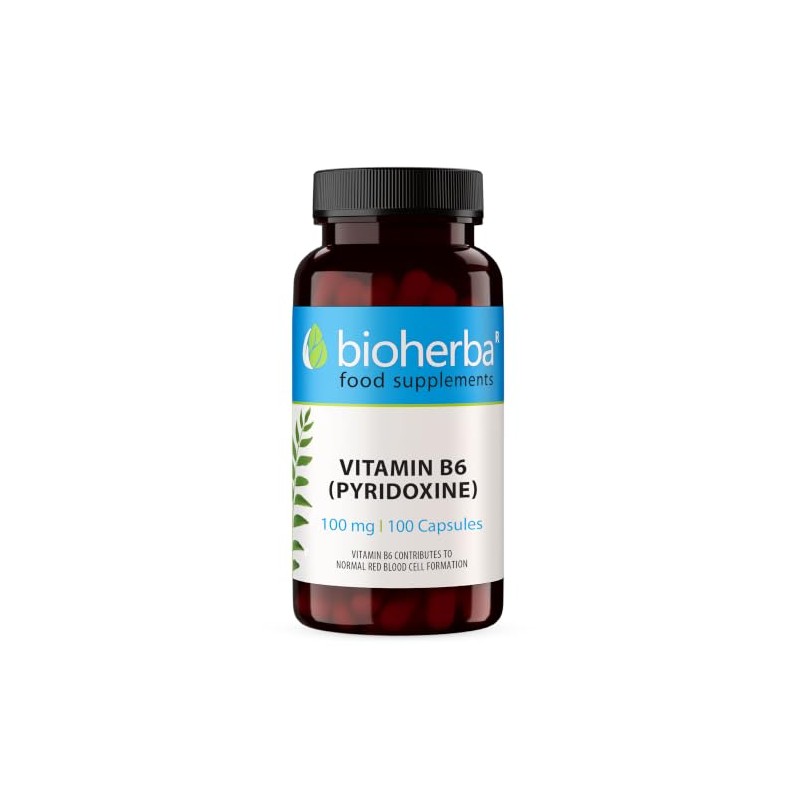 Vitamin B6 (Pyridoxine) 100 mg, 100 Capsules | High Strength