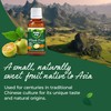Pure Via Monk Fruit Infusion – A New Way to