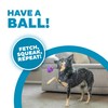 Outward Hound Helmet Headz Monkey Dog Toy, Plush Squeaky Fetch