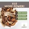 Longevity Botanicals 15 Mushroom Supplement Blend - Mushroom Complex Powder