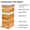 POLLIBEE Beehive- 8 Frame Bee Hive Starter kit, Beeswax Coated