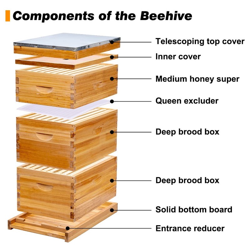 POLLIBEE Beehive- 8 Frame Bee Hive Starter kit, Beeswax Coated