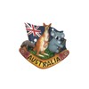 I Love Aus Hand Painted Aussie Animals Magnet