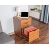 JJS 3 Drawer Rolling Wood File Cabinet with Locking Wheels,