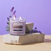 Colonial Candle French Lavender Scented Jar Candle, 2 Wick, 3.5