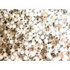 150 Nailheads ,Spots , Studs, WHITE Size 2/16" (3.5mm) with