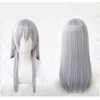 Revale Heat Resistant Cosplay Wig, Event Costume, Wig, Bonus 2