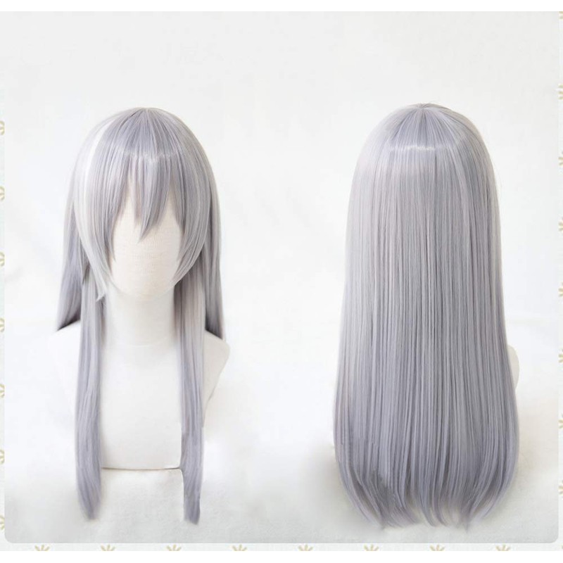 Revale Heat Resistant Cosplay Wig, Event Costume, Wig, Bonus 2