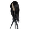 Style Icon Wig Lace Front Wigs 26 Inches Layered Wigs