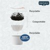 Organic Positively Tea Company, Juicy Peach Black Tea, K-Cup Compatible,