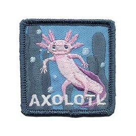 Cute Axolotl Embroidered Patch Iron-on, 2 inches