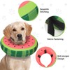 MIDOG Soft Inflatable Dog Cone, Donut E-Collar Alternative for After