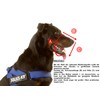 Julius-K9 Muzzle, Light, Black