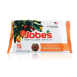 Jobes 01612 Spikes-Fruit