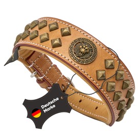Michur Diego Beige Leather Dog Collar with Lion Head Appliqué, Flat Rivets in Aklt Brass Look, Brown Beige Gold, Available in Various Sizes
