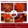 DaToo Infrared Heat Lamp Bulb for Chickens Red Heat Lamp