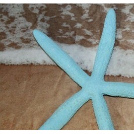 Vintage Beach Wedding Blue Starfish Decor, Natural Sea Stars 5" to 8 inch Range, Large 9 Items