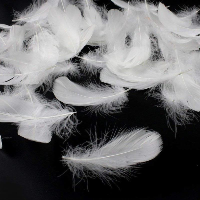 Feather Shower Feathers Plenty of 120 Decorative Feathers Wedding Wedding