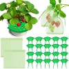 Unbranded 8Pcs Green Strawberry Supports Planting Kit with 20Pcs Insect-proof