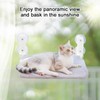 Foldable Cat Window Hammock with Dual Heavy-Duty Suction Cups -