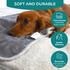 Waterproof Dog Blanket Washable (L) - Easy Clean, Premium, Soft