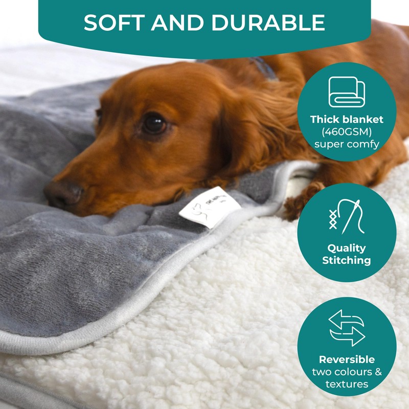 Waterproof Dog Blanket Washable (L) - Easy Clean, Premium, Soft