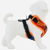 Arnés Pechera Ajustable Antitirones Para Perro Chico Mediano Goku 5